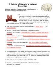 How could natural selection lead to evolution? 5 Points of Natural Selection - Answer Key - 5 Points of ...