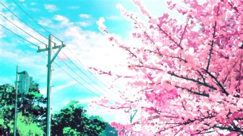 Anime Pc Sakura Blossom Wallpapers Wallpaper Cave
