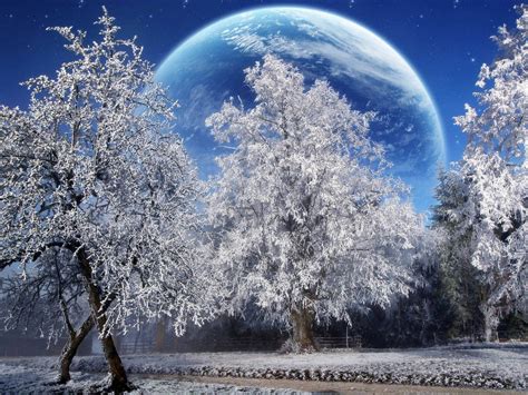 Winter Snow Full Moon High Resolution Hd Wallpapers 3840x2160
