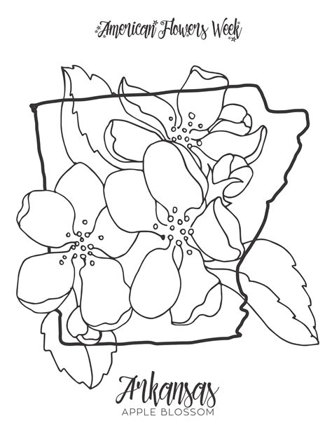 50 State Flowers — Free Coloring Pages American Flowers Week