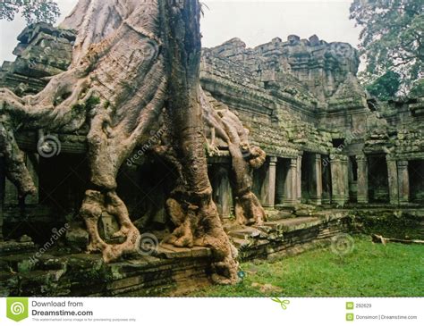 Jungle City Angkor Wat Temple Ruins Cambodia Royalty Free