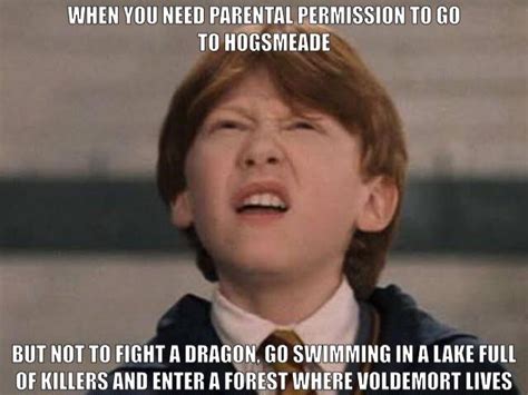 50 of the funniest harry potter memes that will take you back to hogwarts inspirationfeed