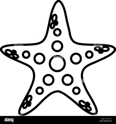 Sea Star Icon Over White Background Vector Illustration Stock Vector