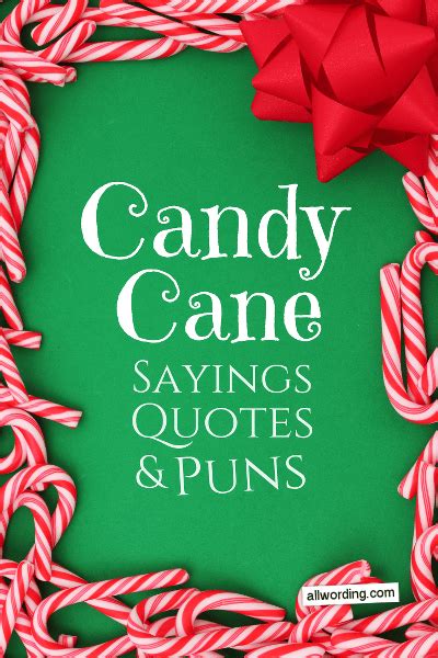 In addition to serving as edible ornaments, candy canes also present some sweet opportunities for festive wordplay. A Sweet and Twisted Collection of Candy Cane Sayings ...