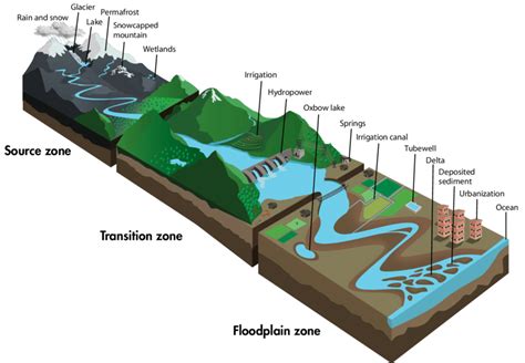 Schematic Diagram Of A River Corridor Showing Three Zones And Their Download Scientific Diagram