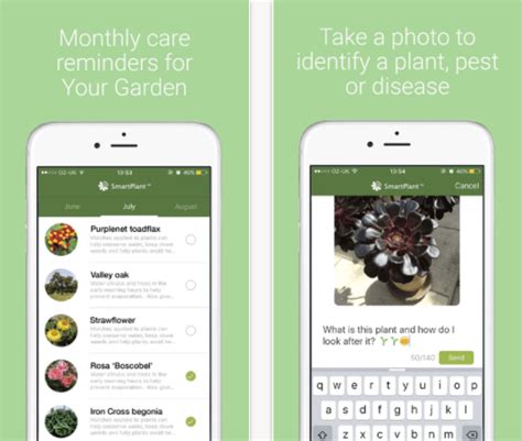To identify a flower this app does not require any botanical or other expert knowledge! 6 Best Plant Identifying Apps for iPhone and Android ...