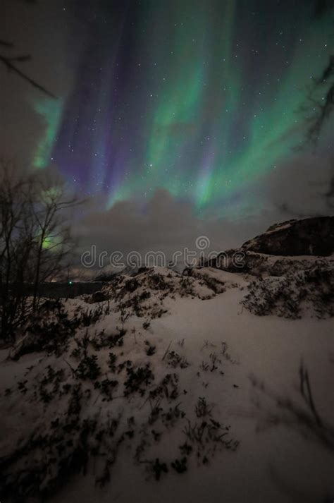 Night Winter Landscape Hillstundra And In The Sky The Stars Aurora