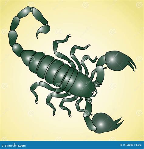 Scorpion Stock Vector Illustration Of Isolated Scorpion 11466209