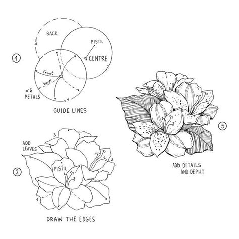 Pin By Tonee Rose On Arts And Crafts And Diy Flower Drawing Tutorials