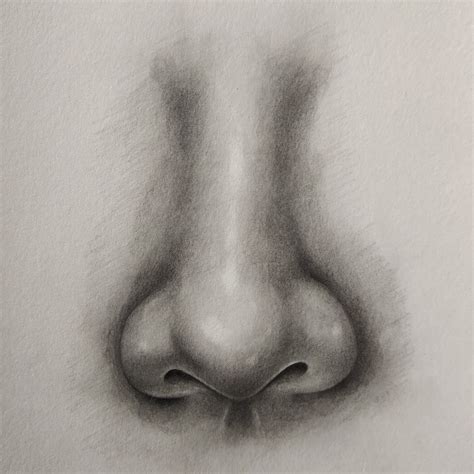 Https://tommynaija.com/draw/how To Draw A Simple Nose