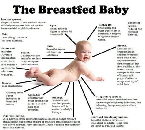 Benefits Of Breastfeeding Which Are Worth Reading