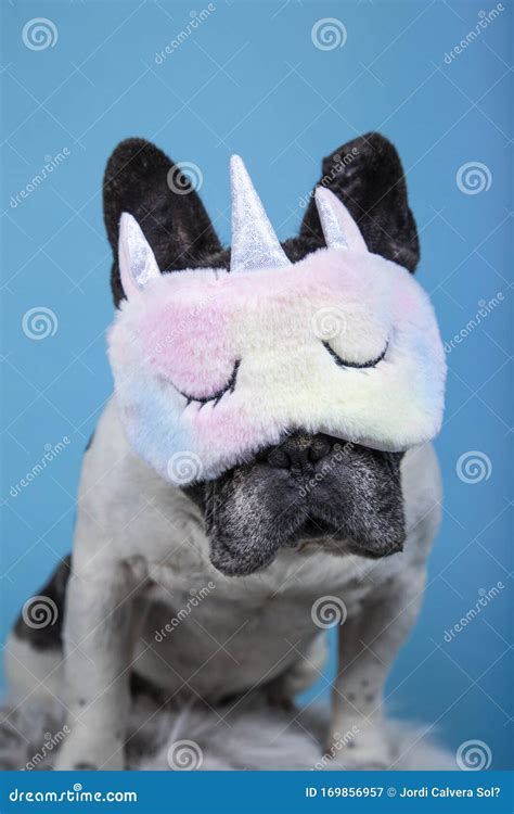 Funny French Bulldog With Unicorn Sleeping Mask On Blue Background