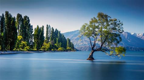 Test your knowledge with this fun quiz about new zealand's . lake wanaka new zealand - Bing images | Wanaka new zealand ...