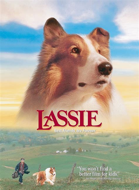 Lassie Amazonde Dvd And Blu Ray