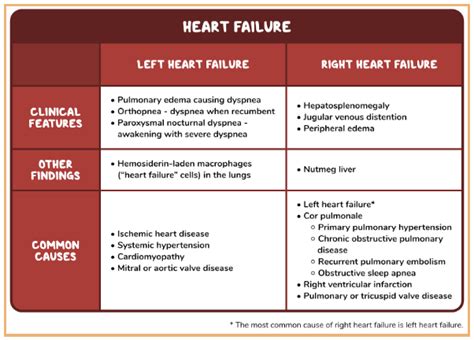 Study Tips Usmle® Step 1 Question Of The Day Left Heart Failure