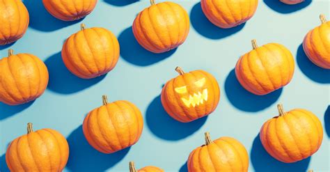 What To Do With Pumpkins After Halloween