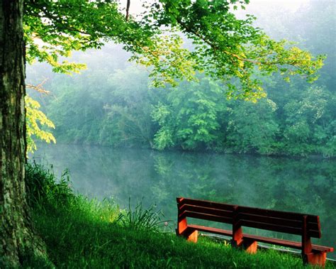 Free Download Quiet Place Near The River Wallpapers And Images