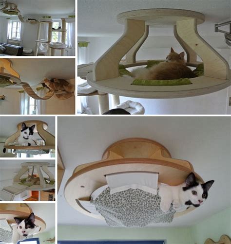Cat Diy Projects 29 Diy Cat Hammock Cat House Diy Cats Diy Projects