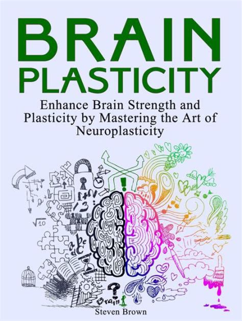 Brain Plasticity Enhance Brain Strength And Plasticity By Mastering