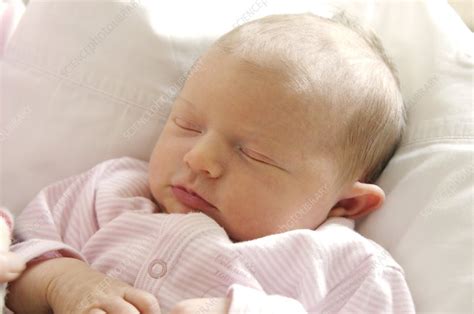 Sleeping Baby Girl Stock Image M8302379 Science
