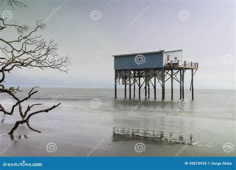 Cabin On Hunting Island Stock Photo Image Of Beaufort 48878958