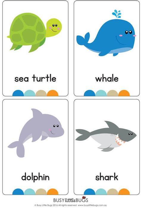 Ocean Flash Cards Sea Creatures Ocean Animals Flash Etsy Flashcards