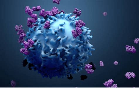 ImmunoOncology Research Research Full Range Lentivirus Products
