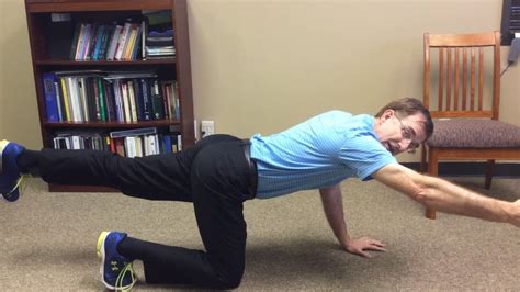 Lumbar Disc And Core Stabilization Exercises YouTube
