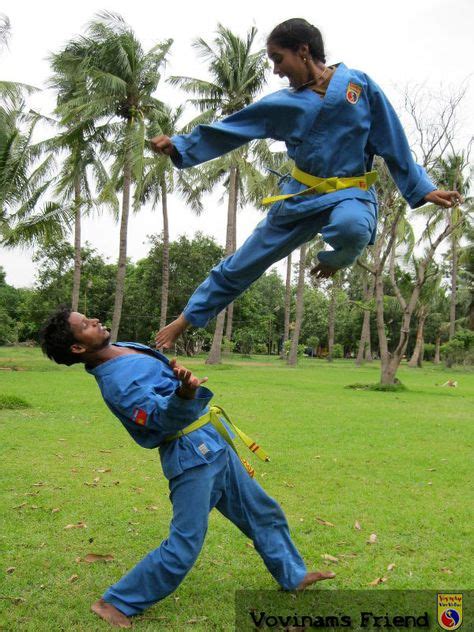 9 Idées De Viet Vo Dao Viet Vo Dao Arts Martiaux Martial