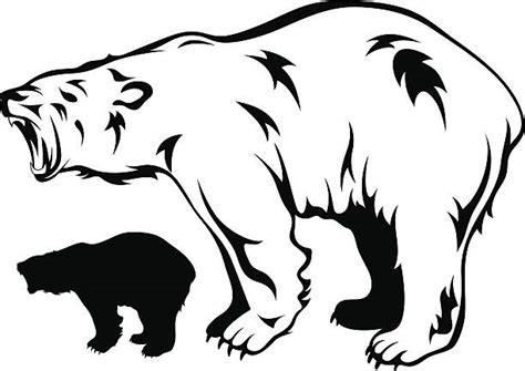 Best Roaring Bear Illustrations Royalty Free Vector Graphics And Clip