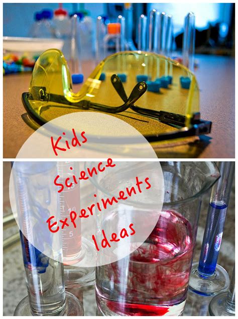 Natural Science Activities For Kids And Moms Library 95