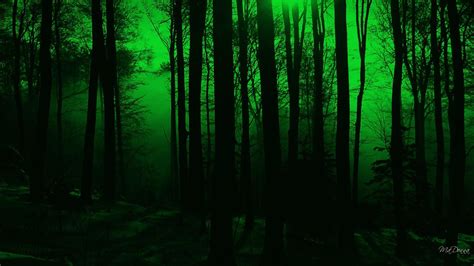 Mystical Forest Wallpaper 66 Images