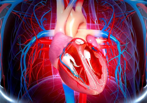 Cardiovascular Risk May Be Increased In Patients With Axspa And Extra