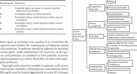 Frankel Classification Of Spinal Cord Injury Patients Download Table