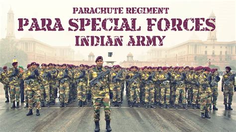 Para Special Forces Para Commando Indian Army Picture In Hd Hd