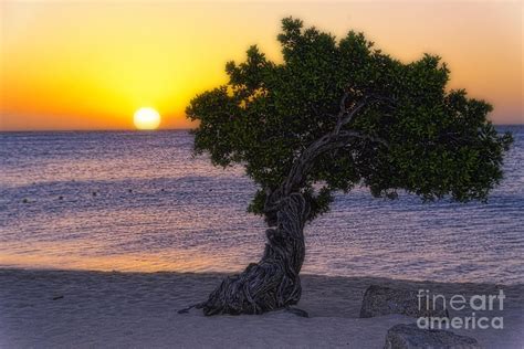 Eagle Beach Sunset In Aruba Photograph By George Oze