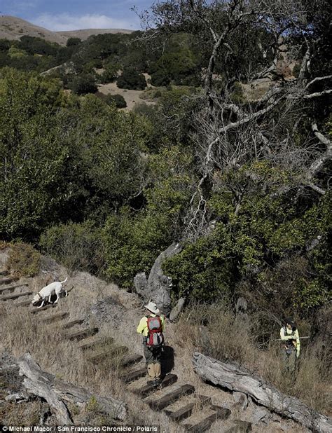 Tantric Sex Therapist Steve Carter Shot Dead On California Hiking Trail Near Fairfax Daily