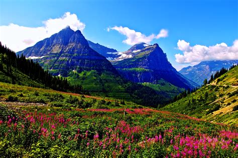 Landscape Mountain Spring Earth Nature Flower