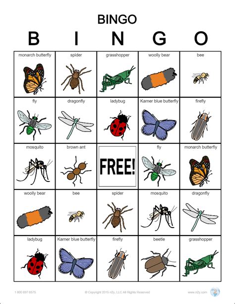 Bug Bingo Printable Free
