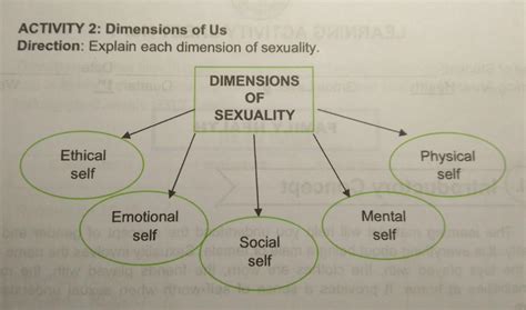 Explain Each Dimension Of Sexuality Brainly Ph