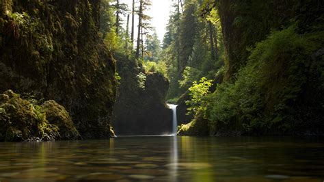 Pacific Northwest Wallpapers Top Free Pacific Northwest Backgrounds