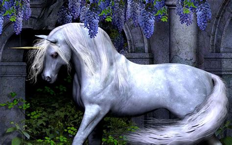 Unicorn Horse Wallpapers Wallpaper Cave