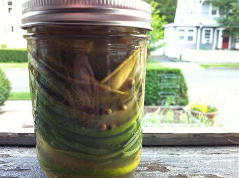 Recipe Pickled Garlic Scapes Sour Cherry Farm