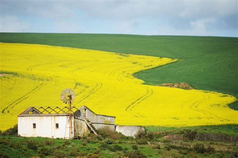 Watch Beautiful Short Film Released About A Man In Overberg South Africa