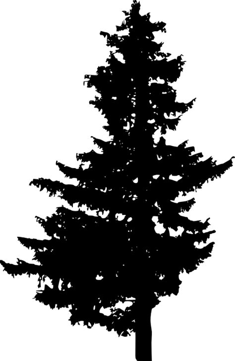 Download now for free this tree branch silhouette transparent png image with no background. 30 Pine Tree Silhouette (PNG Transparent) Vol. 2 | OnlyGFX.com