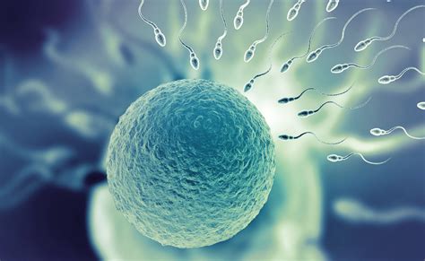 How Long Does Sperm Survive Babymed Com