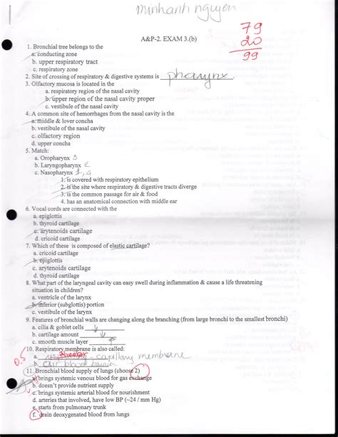 Straighterline Anatomy And Physiology 2 Lab Answers Giatho