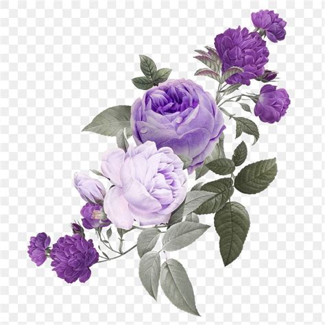 Lilac Flowers Purple Floral Vintage Flowers Purple Flowers Bouquet