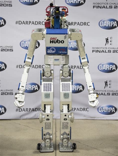 Here Are 10 Modern Robots With Scary Skills