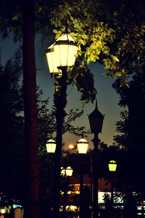 Street Lamps At Night Street Lamp Street Light Pretty Pictures